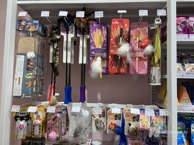 寵物用品公司沖刺A股 貼牌出口占主導，過半狗繩依賴外協(xié)生產(chǎn)