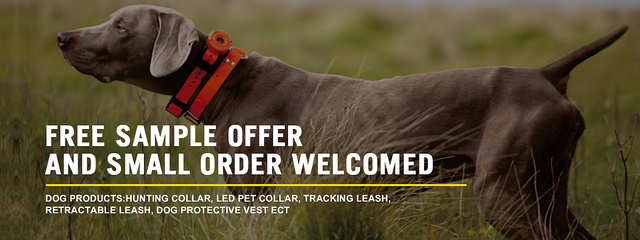 2017寵物戶外用品潮流指南 打造愛寵的快樂探險時光