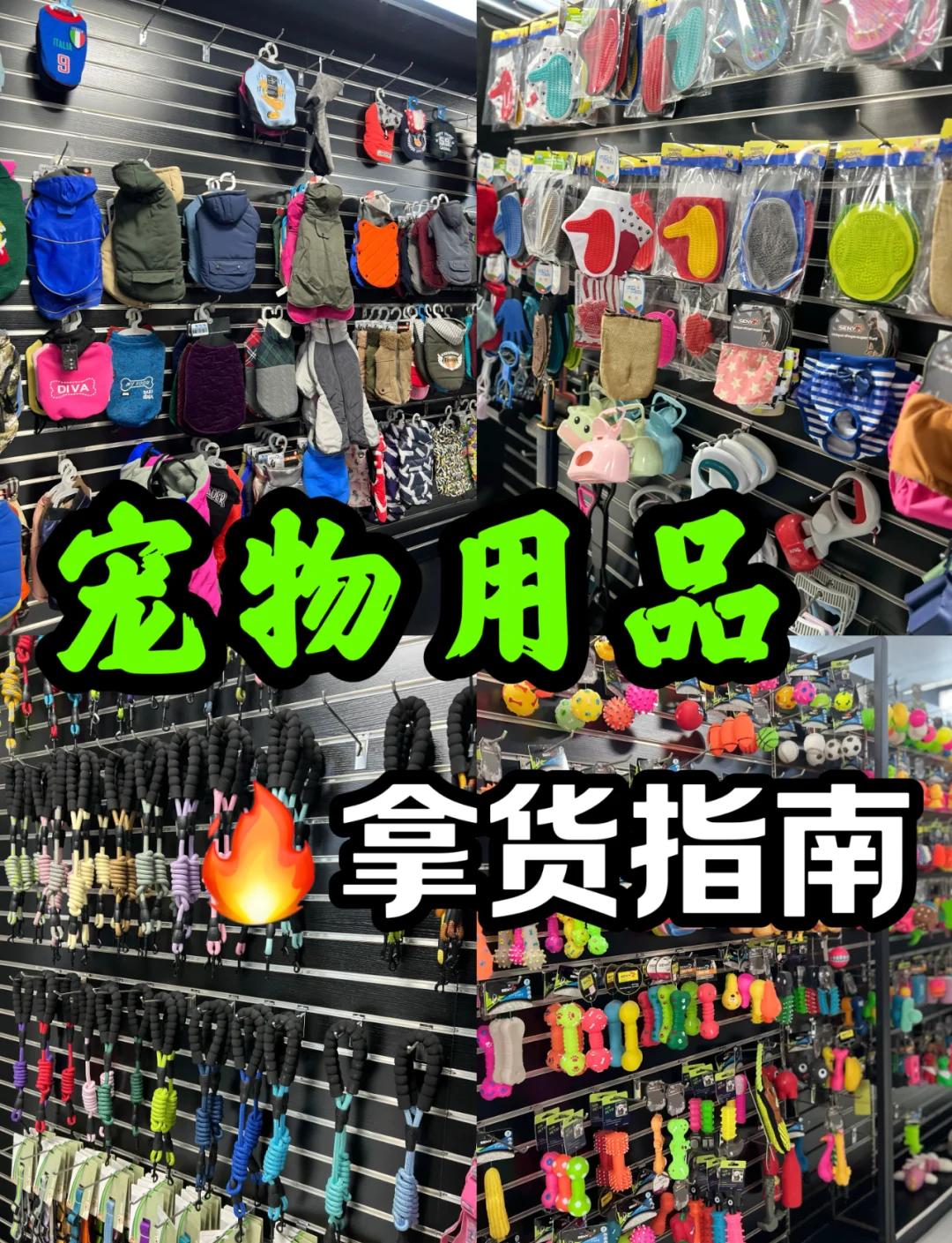 義烏寵物用品批發(fā)市場(chǎng)全攻略 新手入門(mén)必讀指南