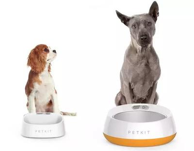 小佩寵物獲億元融資，聚焦“品類(lèi)+海外+線下”打造寵物生活新生態(tài)