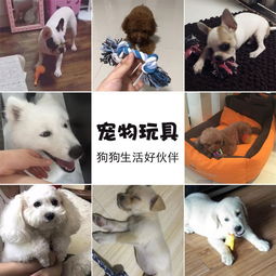 狗狗玩具選購(gòu)指南 耐咬訓(xùn)練發(fā)聲球，滿足幼犬泰迪金毛等大小型犬需求