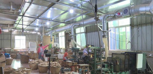 泉港 上門(mén)服務(wù)精準(zhǔn)賦能，助力寵物用品外貿(mào)企業(yè)穩(wěn)健增長(zhǎng)