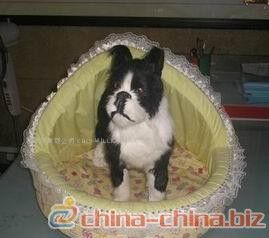 寵物用品庫存管理全攻略 為愛寵備足糧草，讓經營更從容